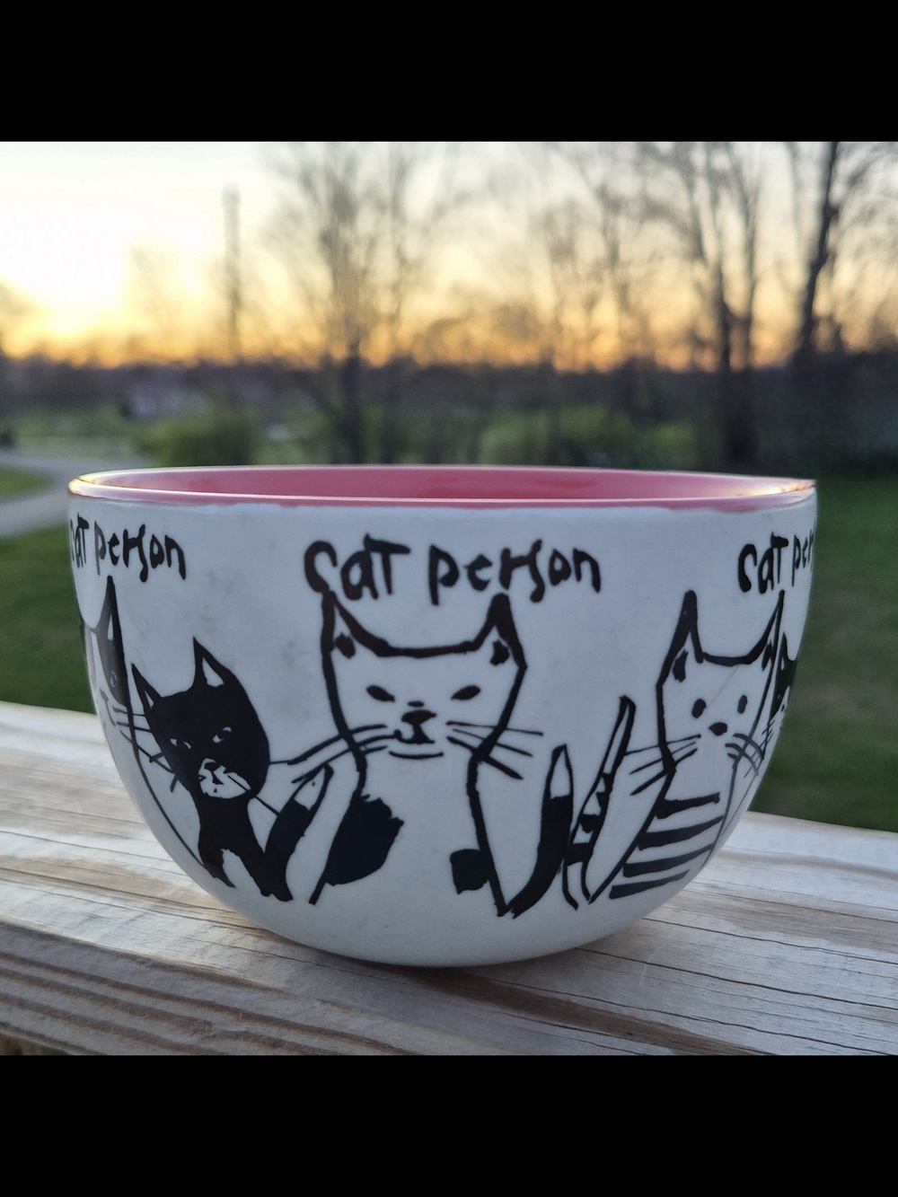 Anthropologie Retired "Cat Person" Stonewear Cereal Bowl Cats Pottery Ceramic